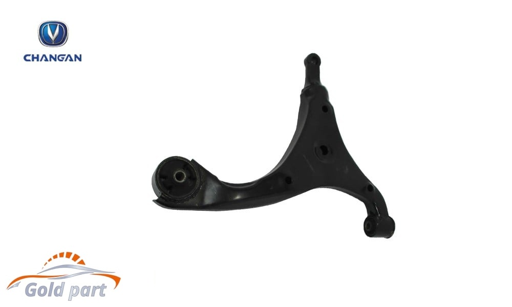 طبق جلو چپ چانگان