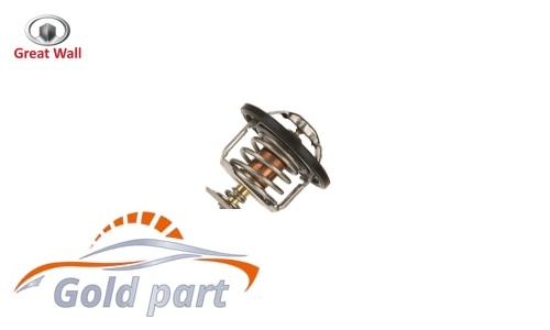 ترموستات گریت وال ولکس C30