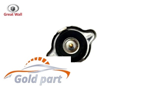 درب رادیاتور گریت وال ولکس C30