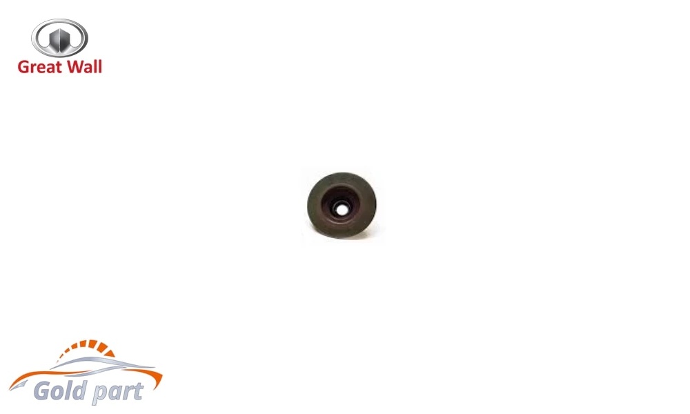 لاستیک سوپاپ گریت وال ولکس C30