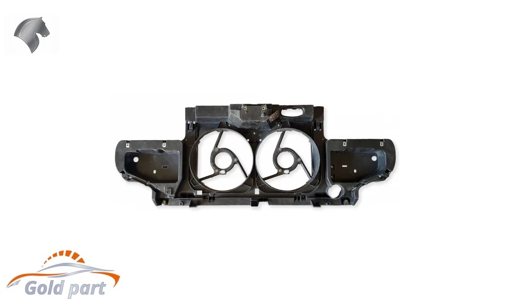 سینی فن دنا