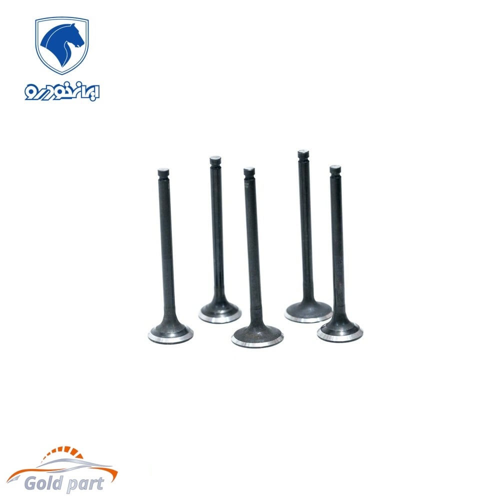 سوپاپ دود و بنزین دنا