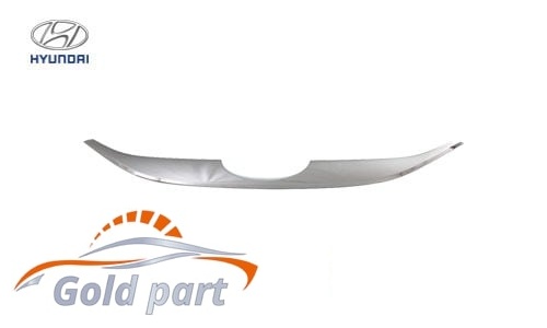 زه جلو پنجره هیوندای توسان IX35