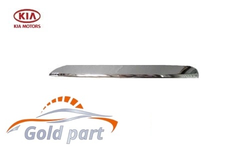 زه سپر جلو چپ کیا اسپورتیج