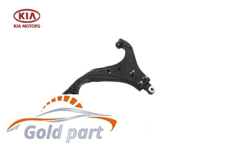 طبق راست کیا