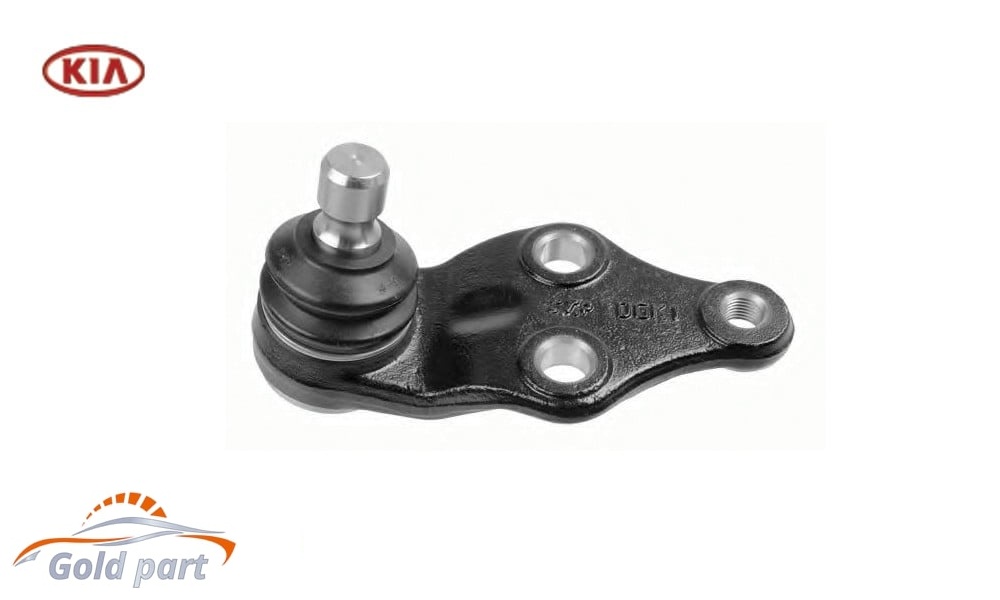 سیبک طبق کیا اپتیما