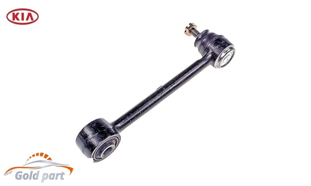 طبق عقب راست کیا اپتیما