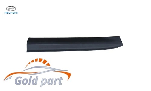 زه درب جلو چپ هیوندای سانتافه IX45