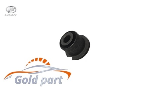 بوش طبق کوچک لیفان X50