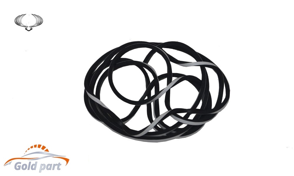 زه دور شیشه جلو سانگ یانگ تیوولی