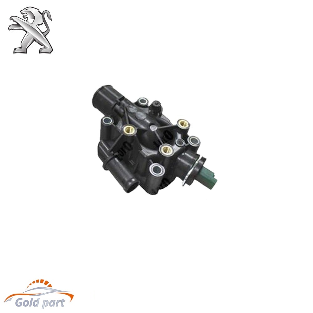 ترموستات پژو301