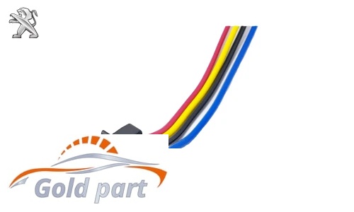 سوکت مپ دو اورینگ پژو