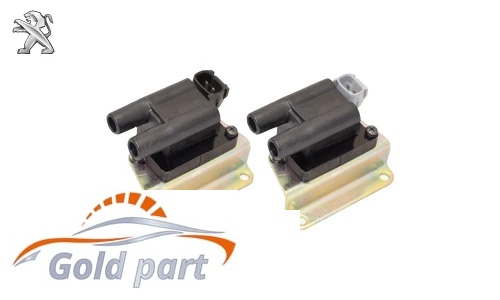 کویل دو تکه زیمنس پژو 405