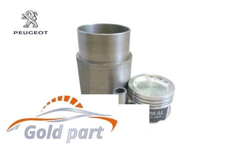 بوش و پیستون پژو 405