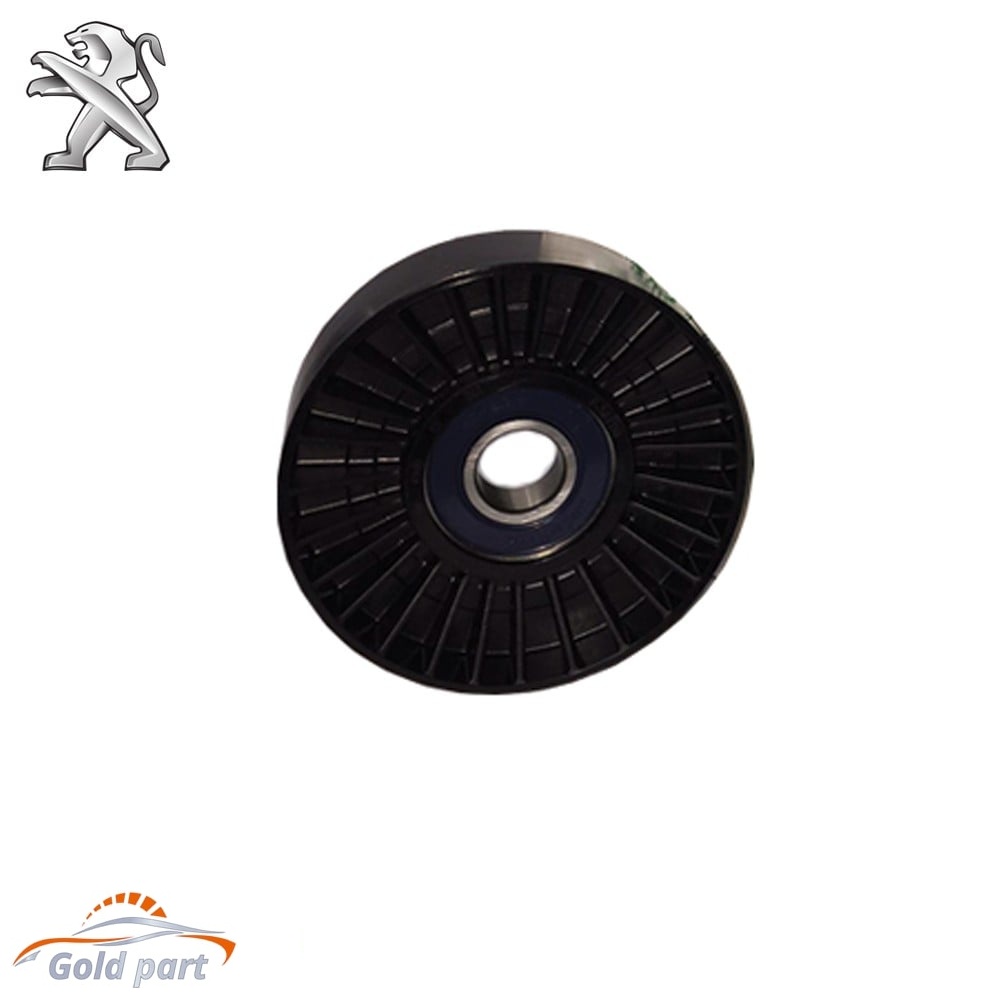 پولی هرزگرد پژو دینام 405