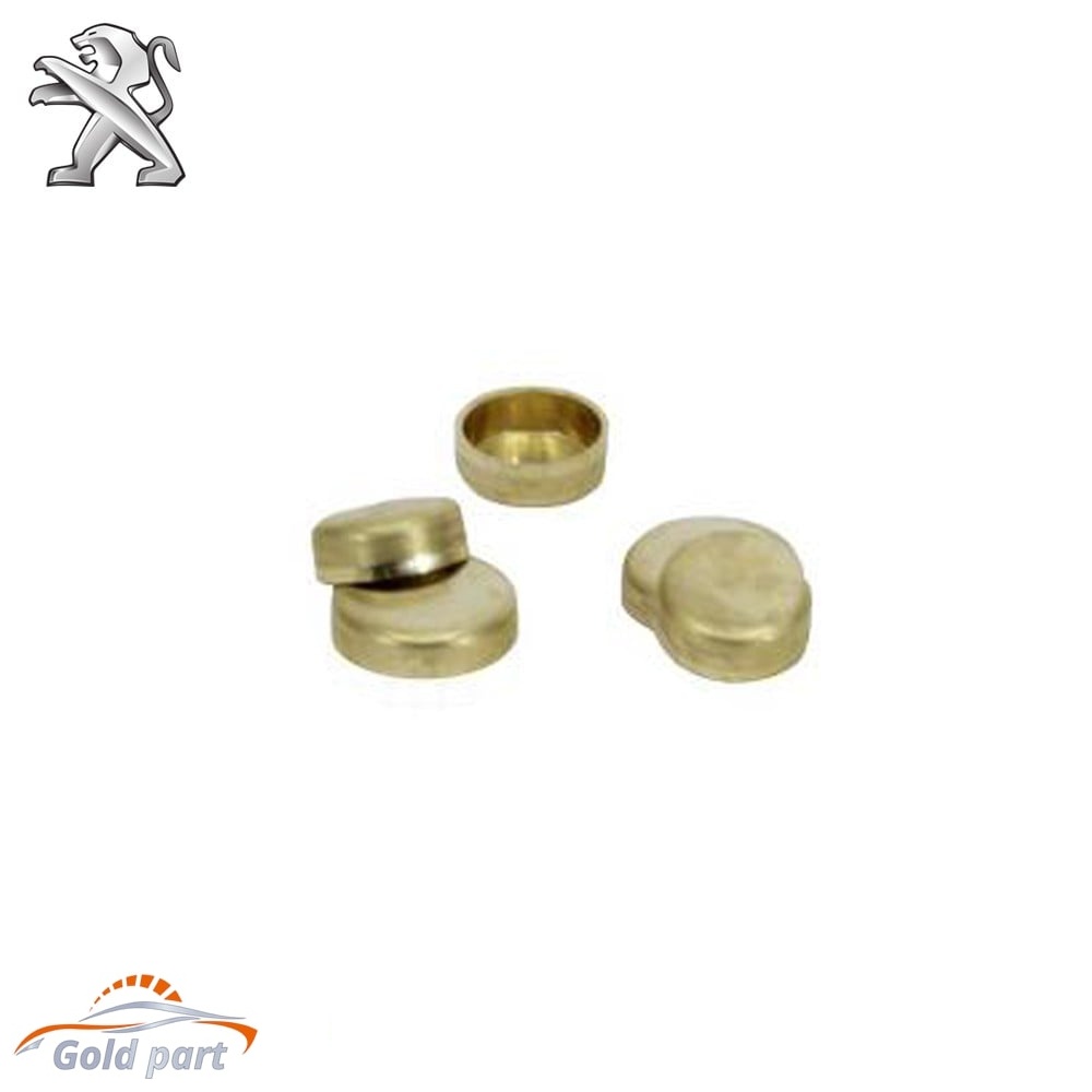 پولک آب سیلندر پژو 405