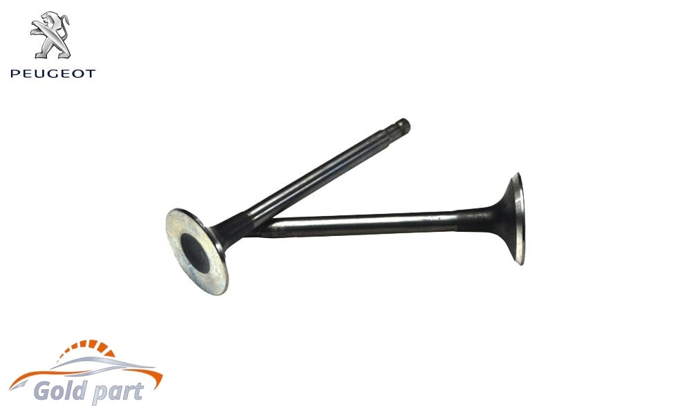 سوپاپ دود هوا پژو پارس