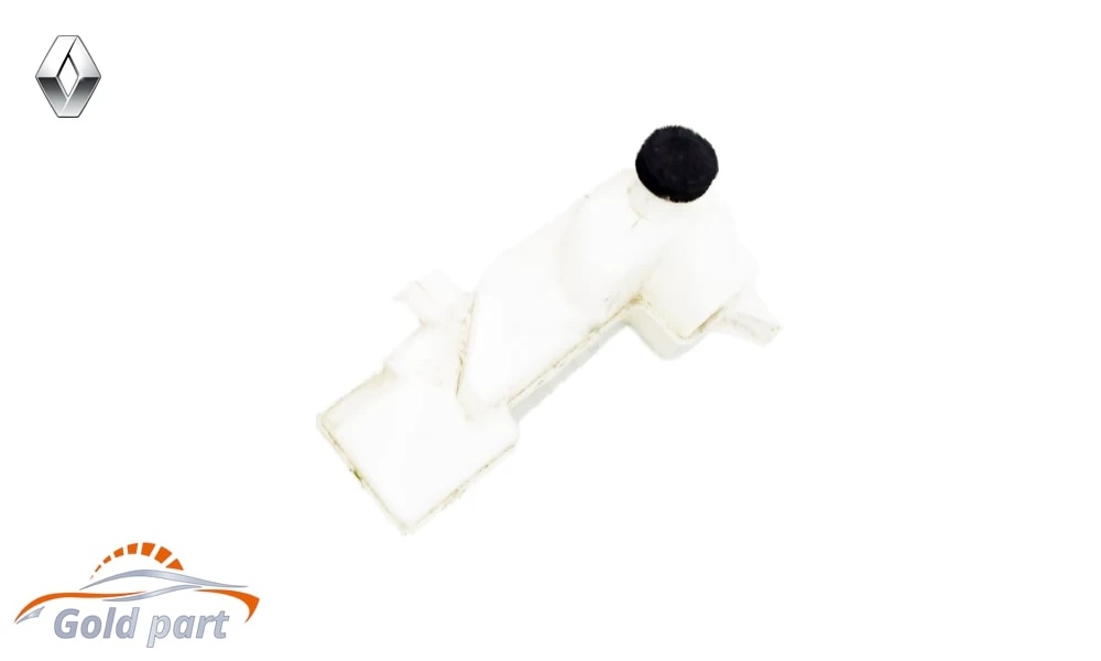 منبع انبساط رنو کولیوس