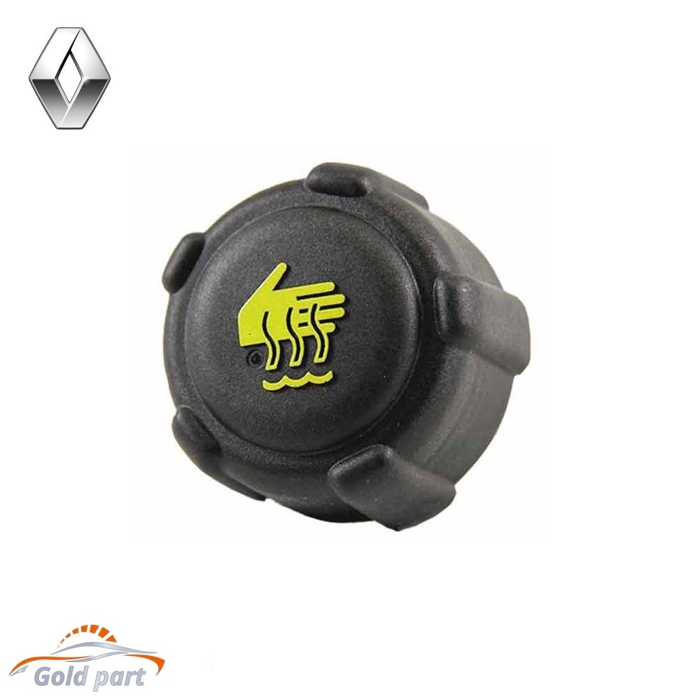 درب منبع انبساط رنو استپ وی