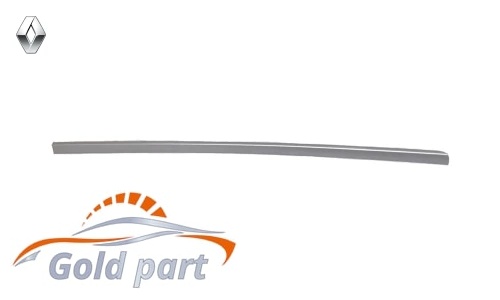 قاب روی رکاب چپ رنو استپ وی