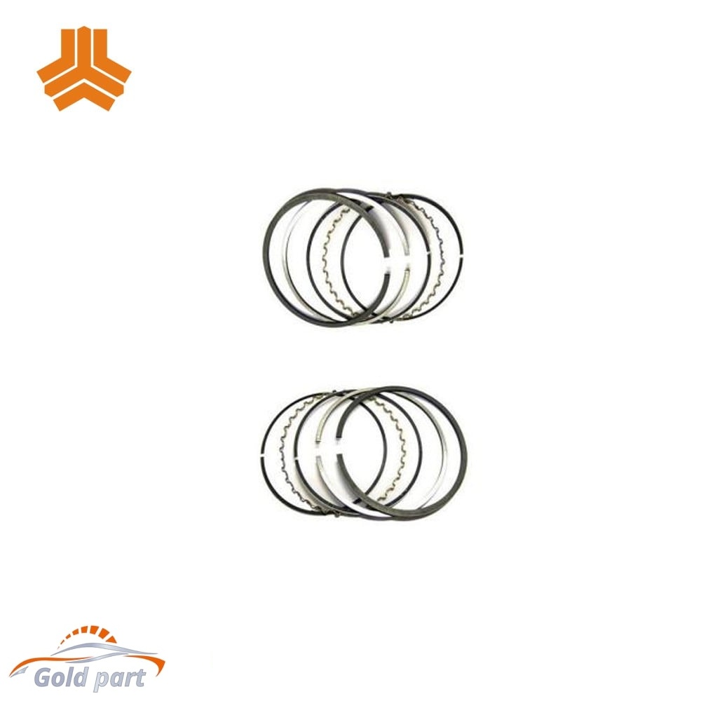 رینگ موتور سایز استاندارد تیبا