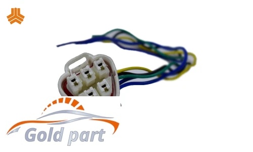 سوکت پمپ بنزین ریو