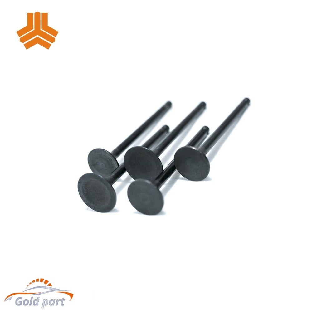 سوپاپ دود و بنزین تیبا